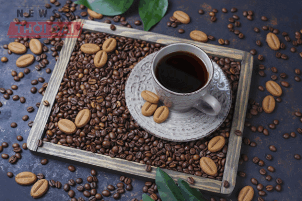 List 11 Dịch Vụ Bán Nguyên Liệu Pha Chế TPHCM UY TÍN