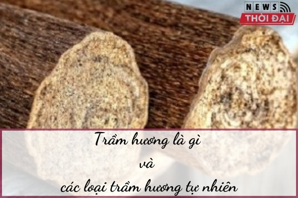 Trầm Hương Là Gì Và Các Loại Trầm Hương Tự Nhiên
