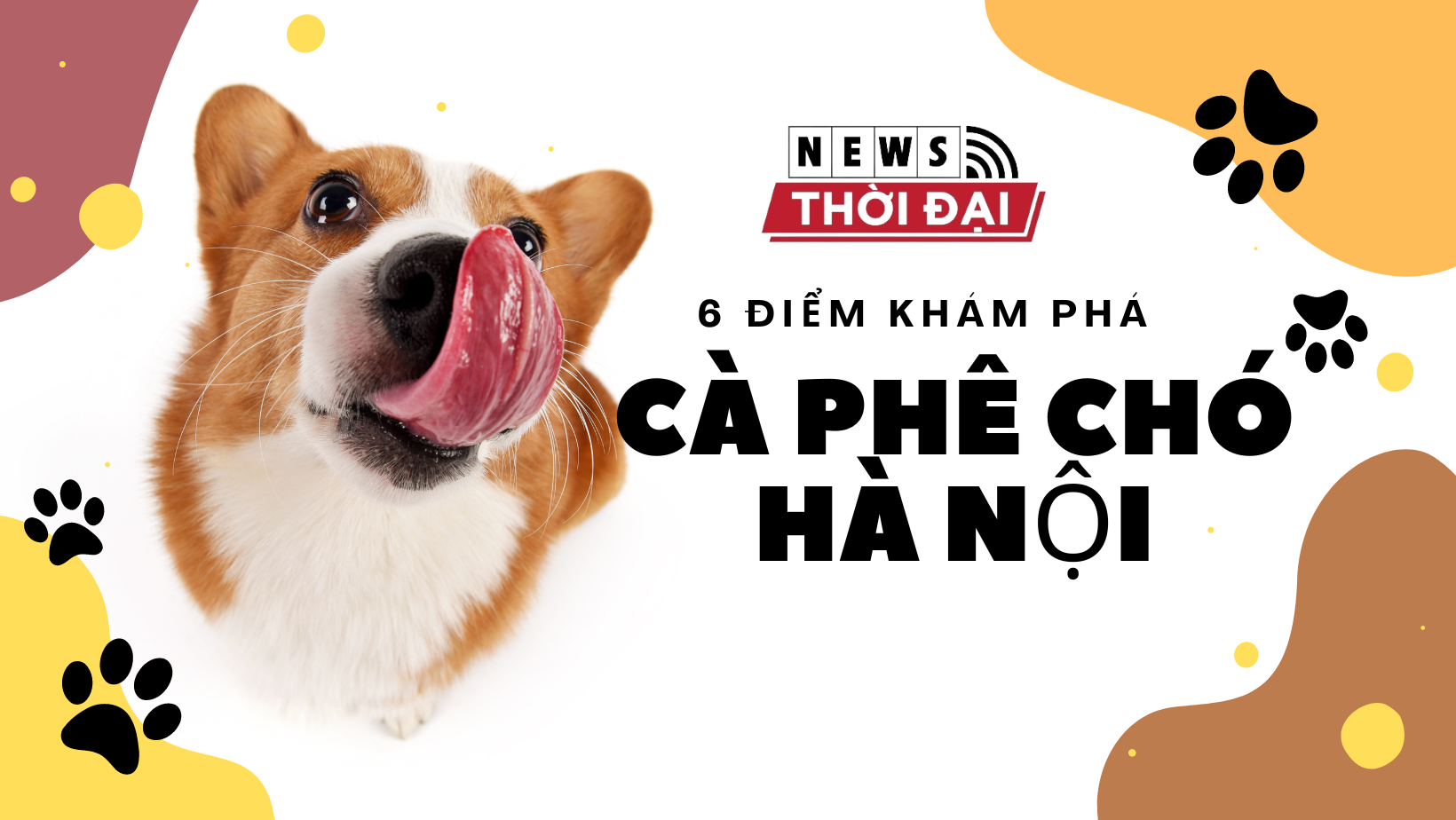 6 điểm khám phá Cà phê chó Hà Nội dành cho người yêu động vật